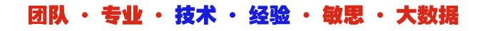 网站建设团队